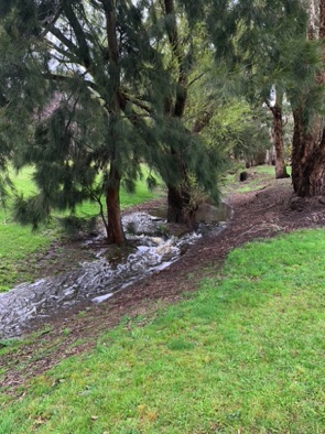 Blayney GC -Water Hazard