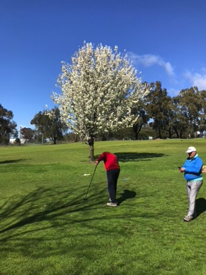 Cowra GC - lovely vistas